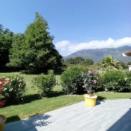 T2 Bord De Mer/piscines Lägenhet Moriani Plage