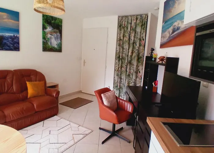 T2 Bord De Mer/piscines 公寓 *