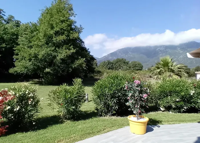 T2 Bord De Mer/piscines 公寓 莫里亚尼海滩